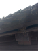 IMG-20250605-WA0015