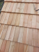 IMG-20250605-WA0021